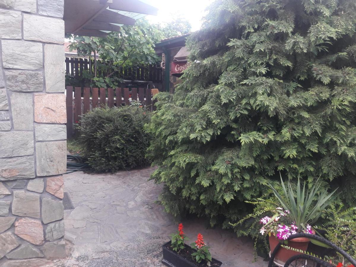 Villa Iva Скопье Экстерьер фото
